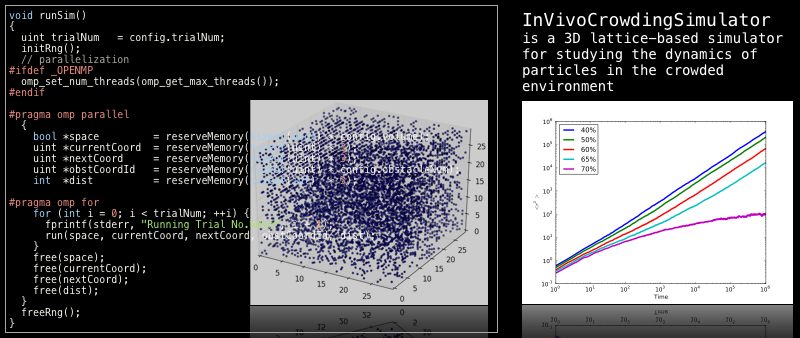 InVivoCrowdingSimulator: A 3D lattice-based simulator for studying the dynamics of particles in the crowded environment.